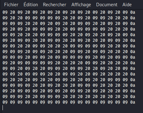 Hexadecimal of the file